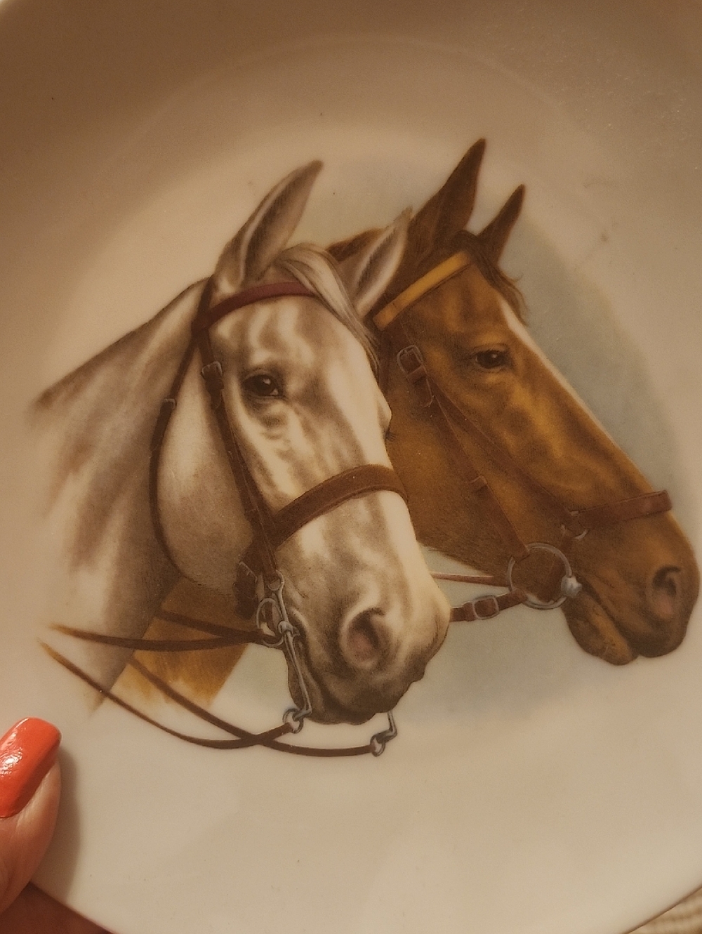 SALE💥Bavarian Collectible Horse Plate